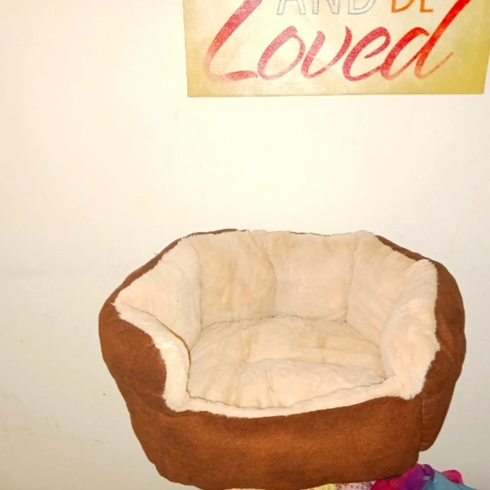 Cat Bed
